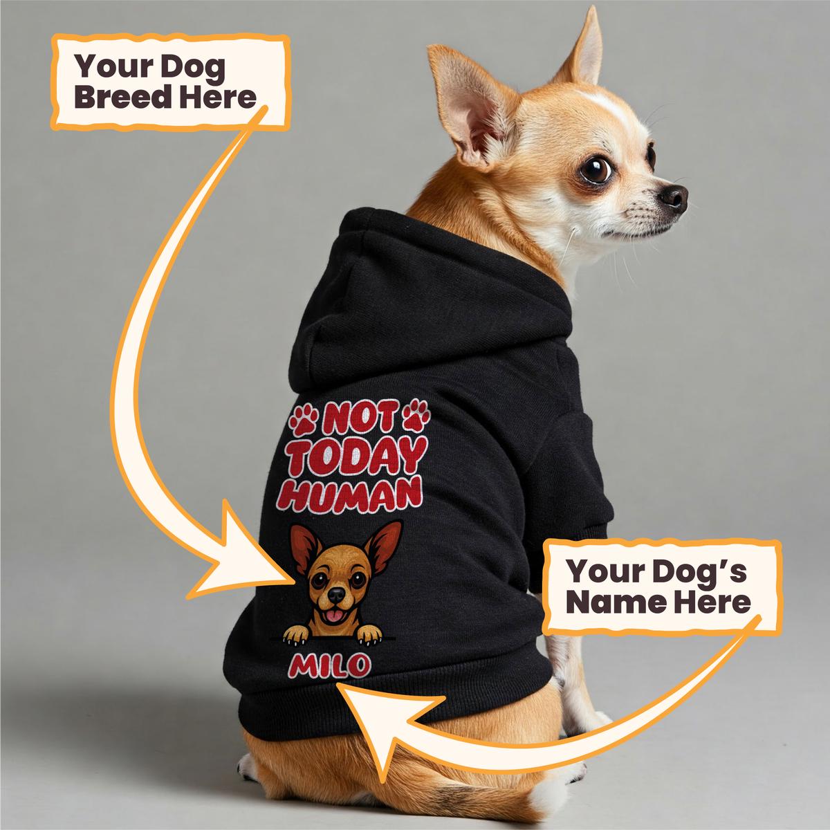 NOT TODAY HUMAN- personalized hoodie with your dogs name and breed  dog hoodie  dog clothes