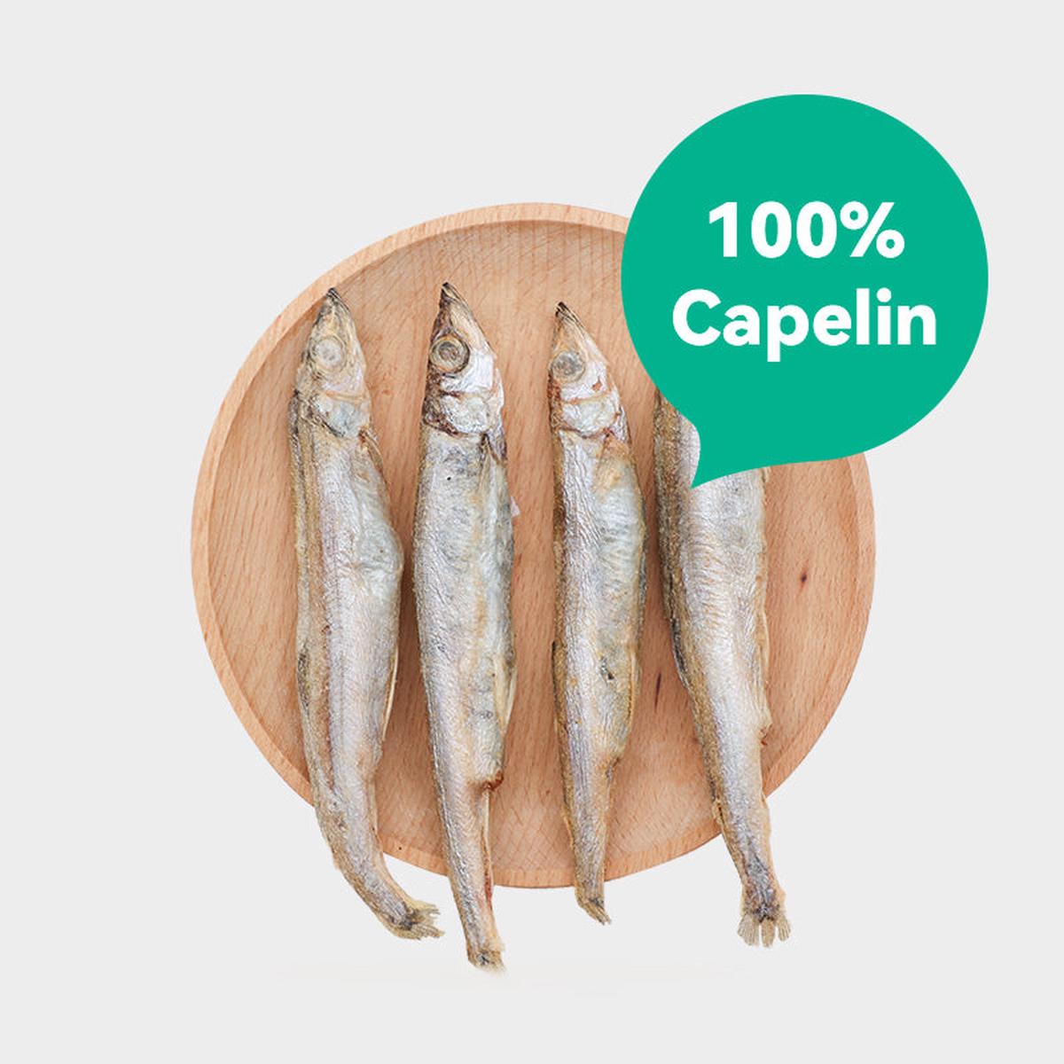 RANOVA Freeze Dried Capelin 40g