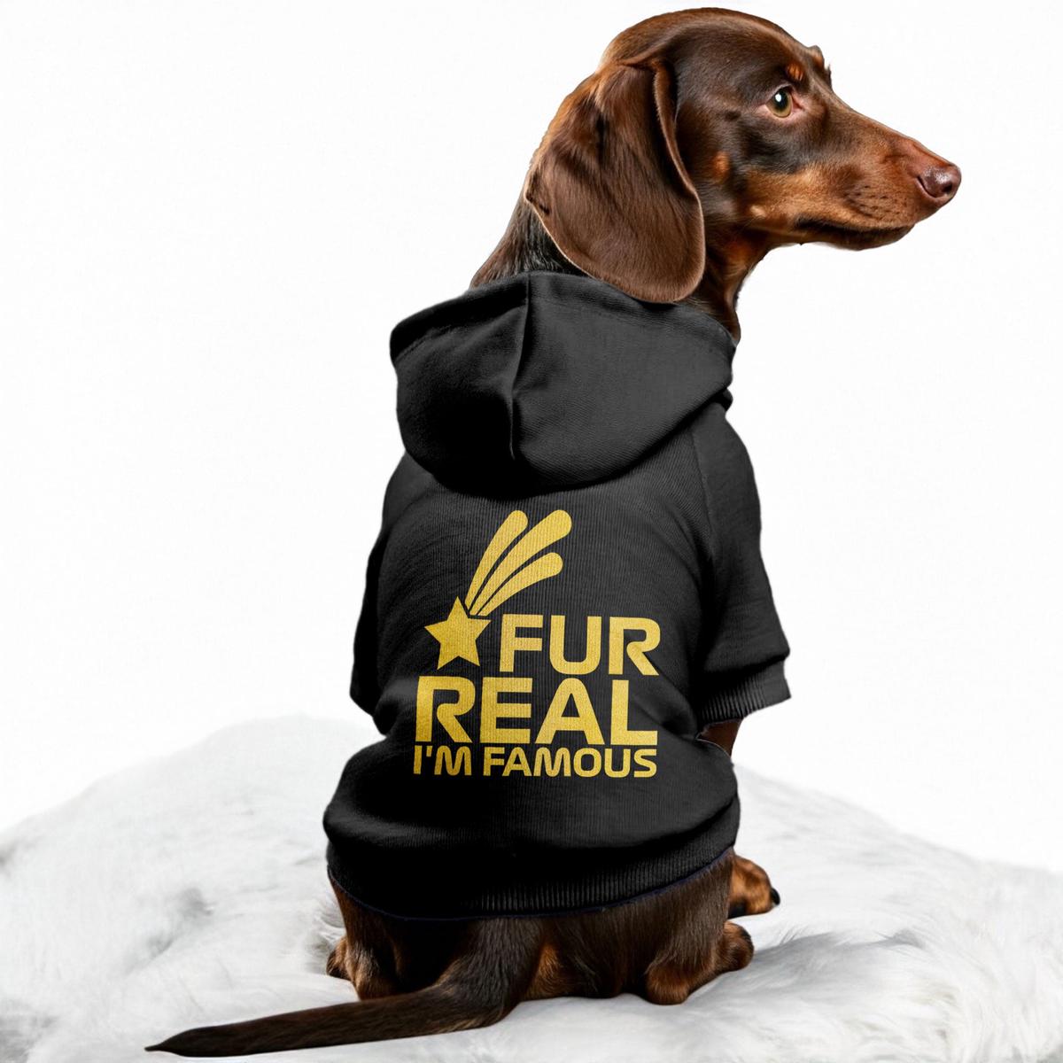 Fur Real, Im Famous Dog Hoodie  Dog Clothes