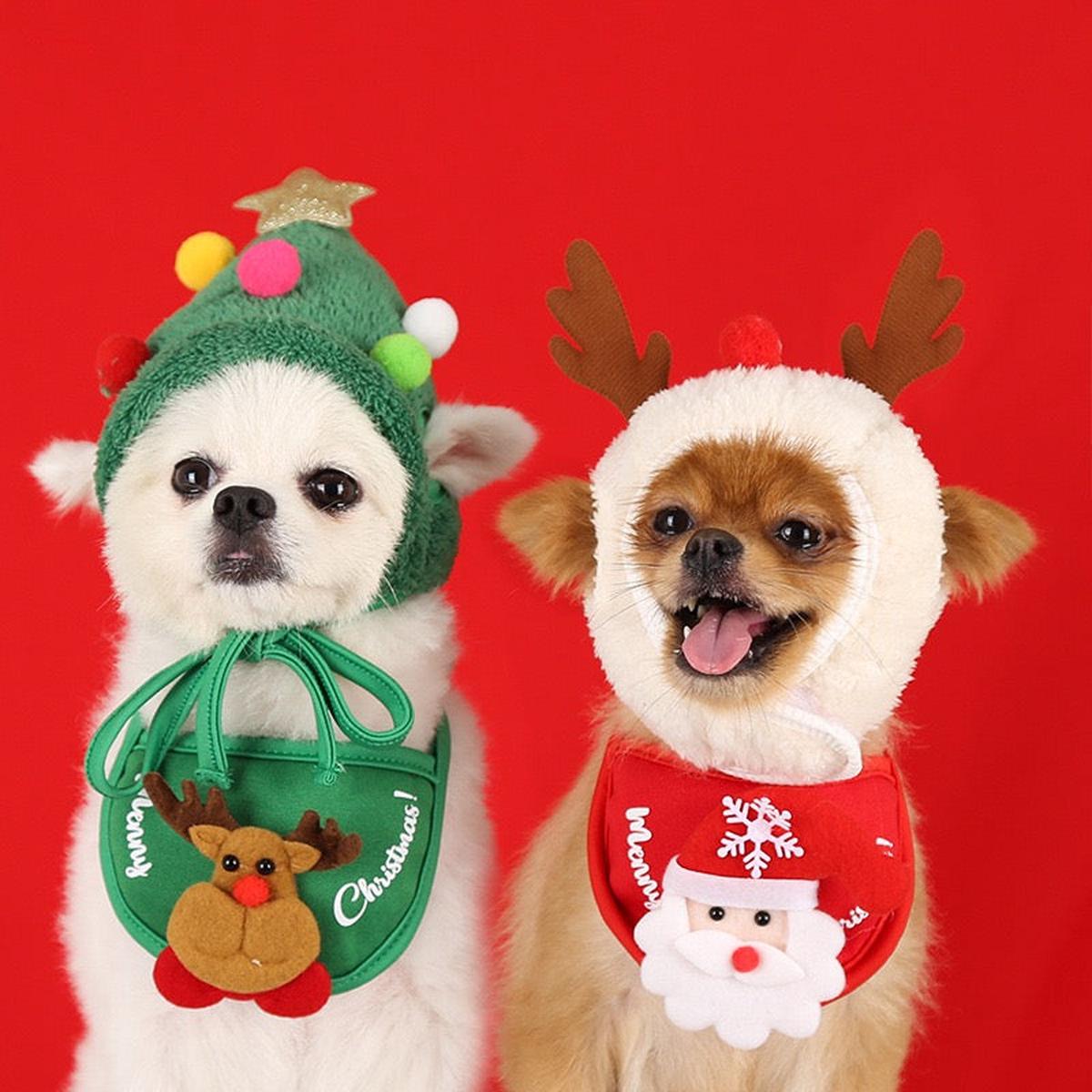 Christmas Costume Hat