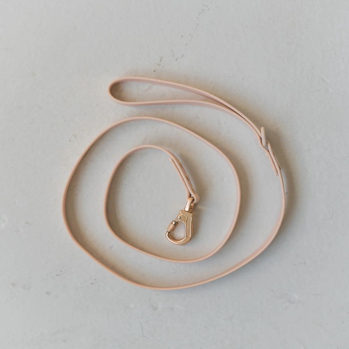 Dexypaws Waterproof Dog Leash in Nude