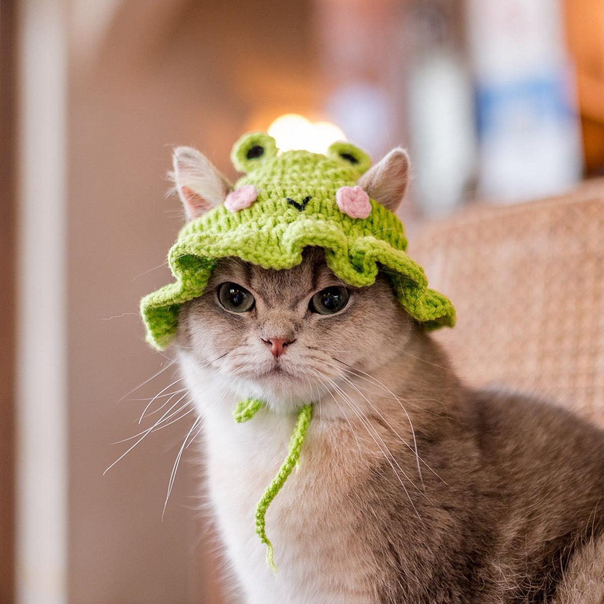 Crochet Hats for Cats