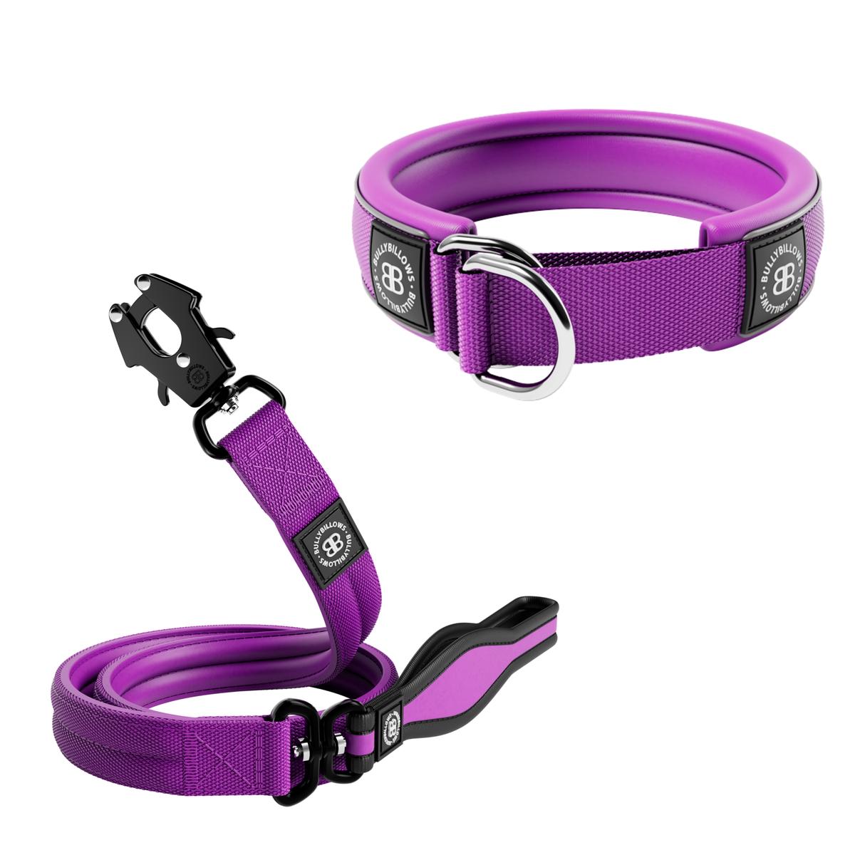 4cm Slip-on Collar & Mini Combat Lead Bundle  Purple