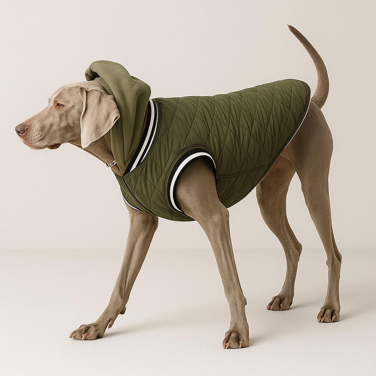 Comfortable Hooded Dog Cotton Jacket