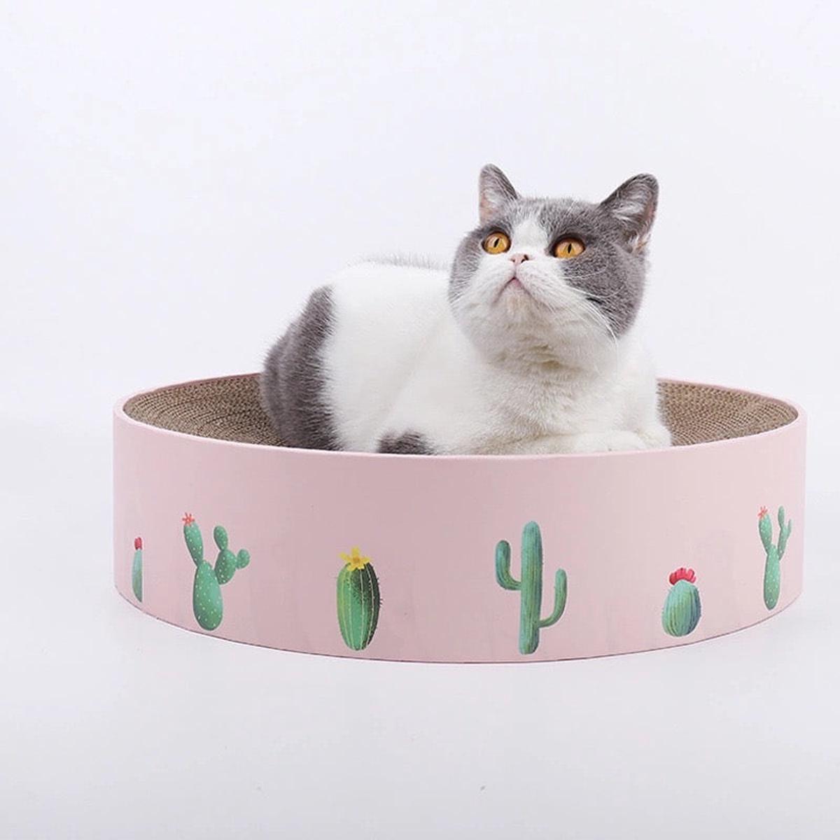 Cactus Round Scratcher