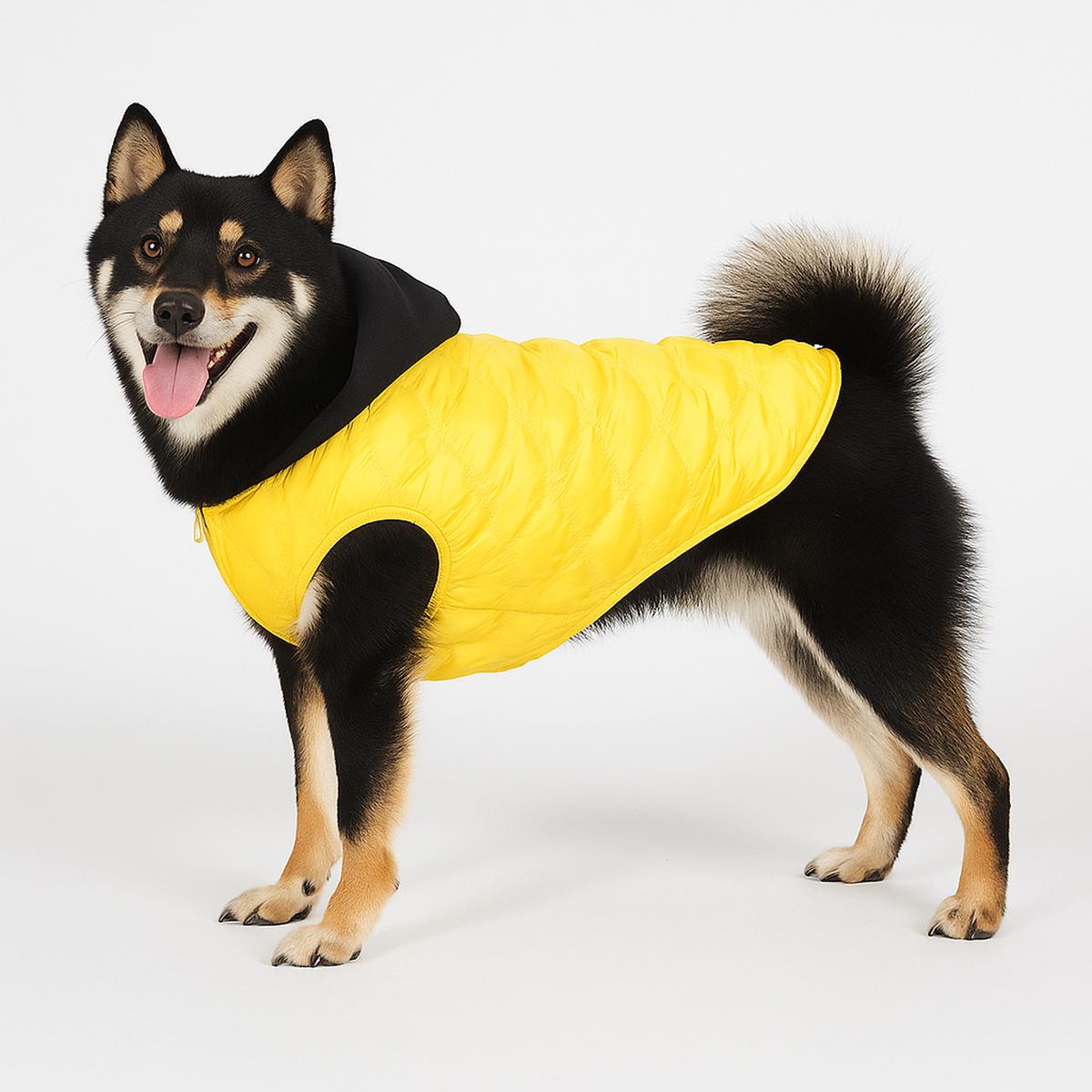 Spot Embossed Hooded Dog Coat