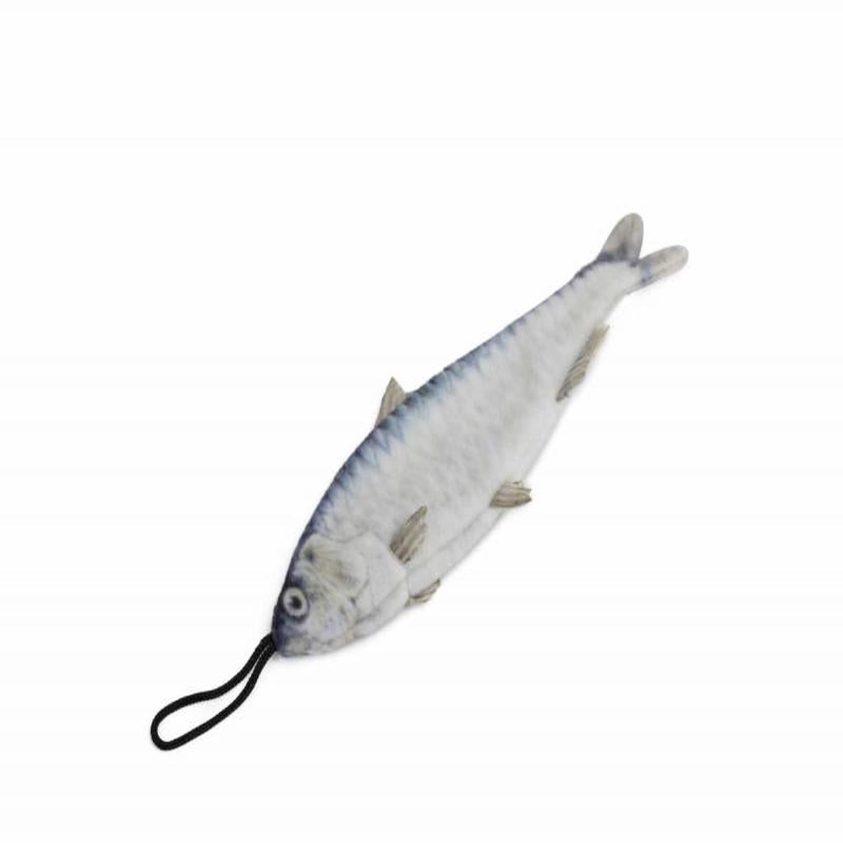 SteelDog C Sardine Toy
