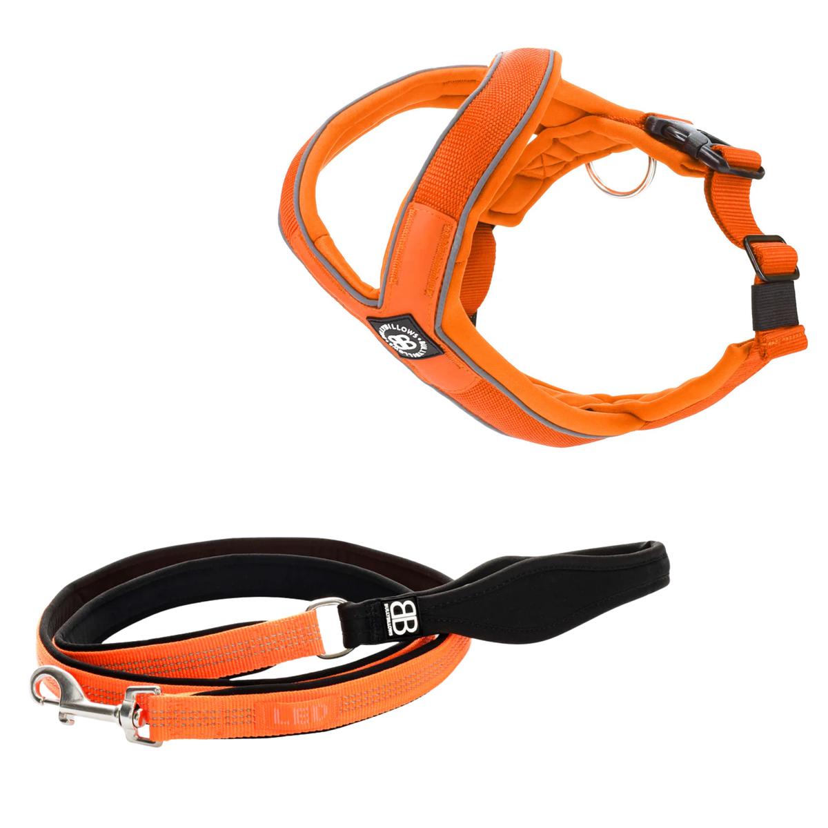 Slip-on Harness & Active Lead Bundle  Orange