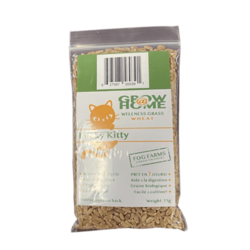 Lucky Kitty Grow @ Home Cat Grass Home Grow Kit; Wheat Refill Pack