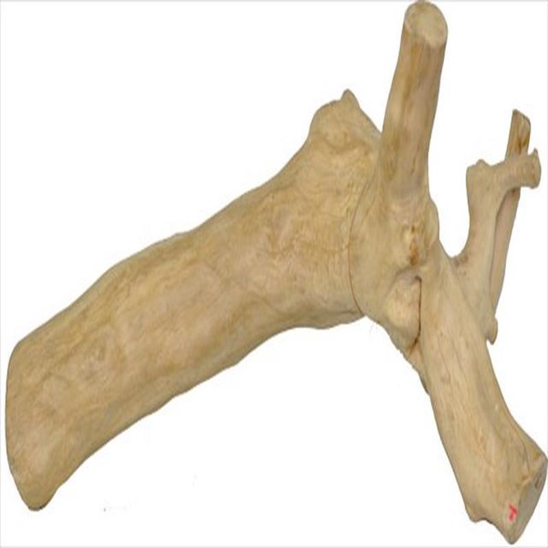 A&E Cage Co Large Reptile Branch
