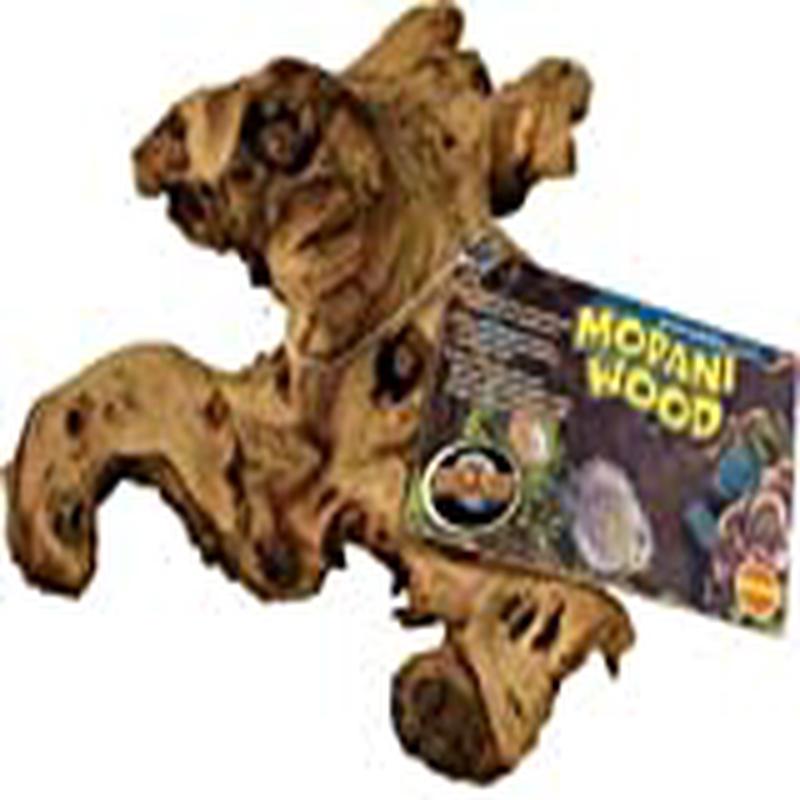 AFRICAN MOPANI WOOD 6-8IN SM 36